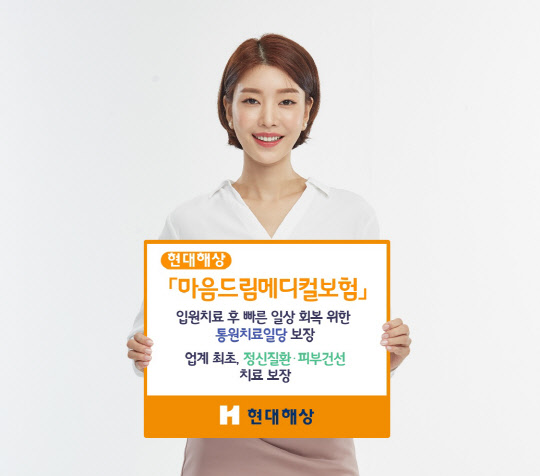 (현대해상 제공)